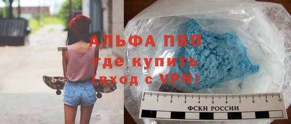 прущие грибы Армянск