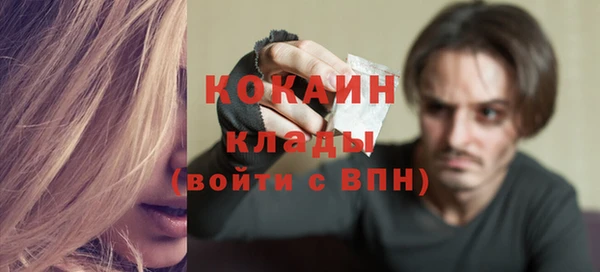 прущие грибы Армянск