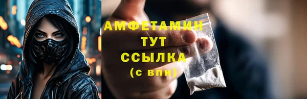 прущие грибы Армянск