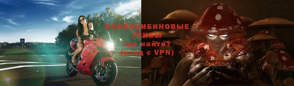 гашик Аркадак