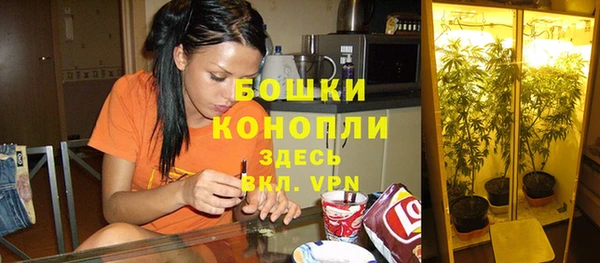 прущие грибы Армянск