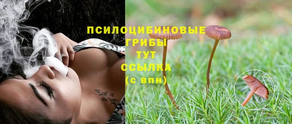 прущие грибы Армянск