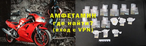 прущие грибы Армянск