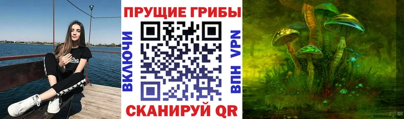 Псилоцибиновые грибы Psilocybine cubensis  omg   Губаха 